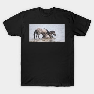 Cooling down T-Shirt